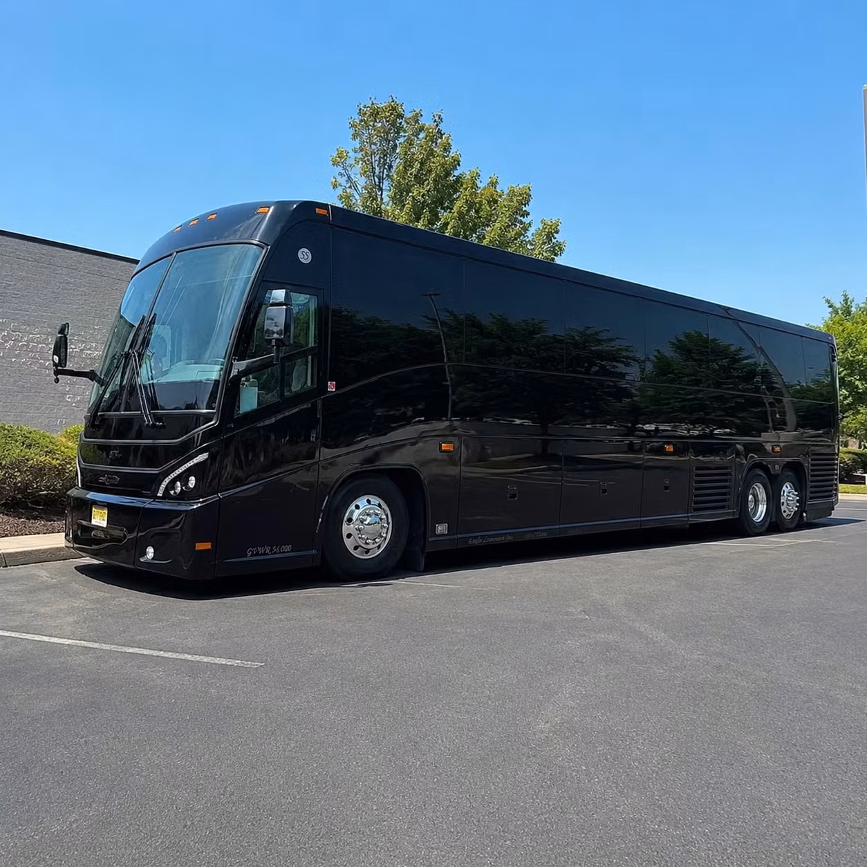 56 passenger charter bus